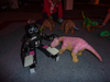 Tamara kuschelt mit Dinos