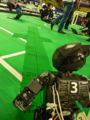 Atlas schaut auf den neuen Kalibrierungsteppich