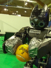 Wheatly bereit zum Einwuf