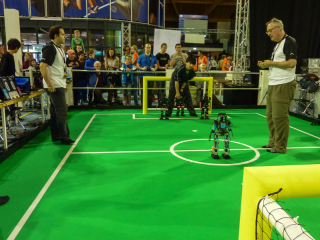 Viertelfinale Fumanoids