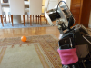 Wheatly im Wohnzimmer 2