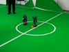 Testspiel