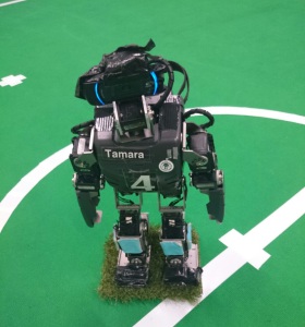 Tamara auf Kunstrasen auf Feld, Blick in Kamera