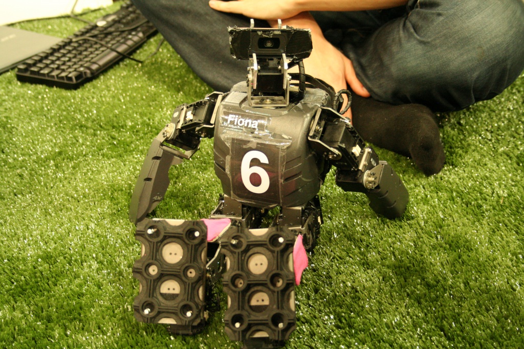 other_feet1 other_feet1