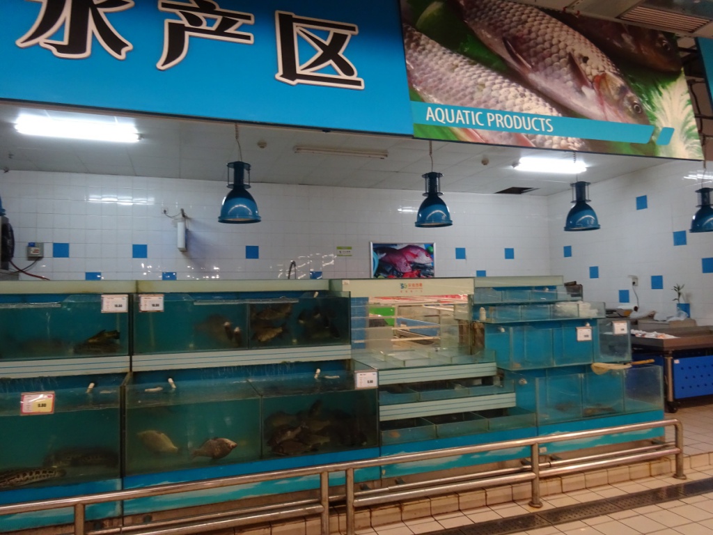 Chinese supermarket: You want it fresh? Chinese supermarket: You want it fresh?